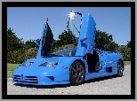 Drzwi, Bugatti EB 110, Uniesione