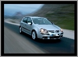 Volkswagen Golf 5, Srebrny